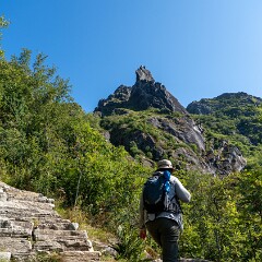 2024-08-06 11-54 ILCE-7CM2 A7C02580 null