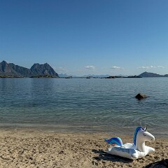 2024-08-06 15-49 iPhone 15 Pro 20240806_154934_IMG_7146_Edited null