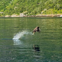 2024-08-07 10-37 iPhone 15 Pro 20240807_103711_IMG_7272_Edited null