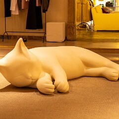 2025-05-05 20-19 ILCE-7CM2 A7C05155 null