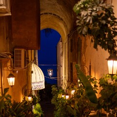 2025-05-05 20-21 ILCE-7CM2 A7C05157 null