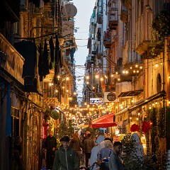 2025-10-14 18-21 ILCE-7CM2 A7C06255 null