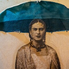 2025-10-14 21-24 ILCE-7CM2 A7C06260 null