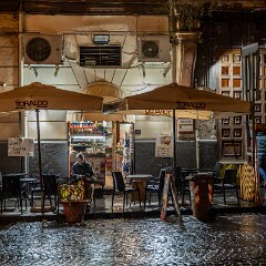 2025-10-15 19-02 ILCE-7CM2 A7C06368 null