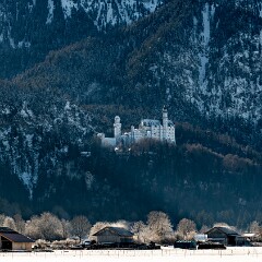 2026-01-31 11-41 ILCE-7CM2 A7C06729 null