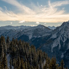 2026-01-31 14-36 ILCE-7CM2 A7C06783 null